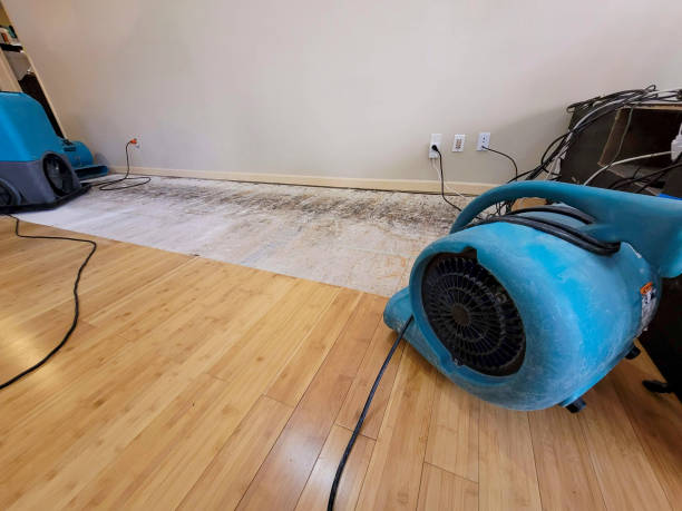 Professional Ceiling Water Damage Repair technician working in Pine Mountain Club, CA